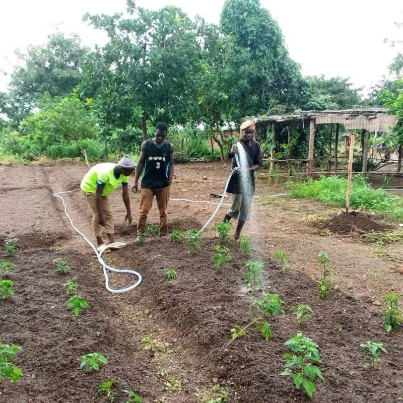 Matériel d'irrigation et agricole
