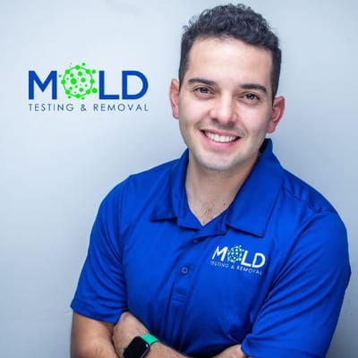 mold testing Los Angeles