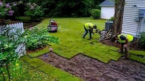 SOD Installation