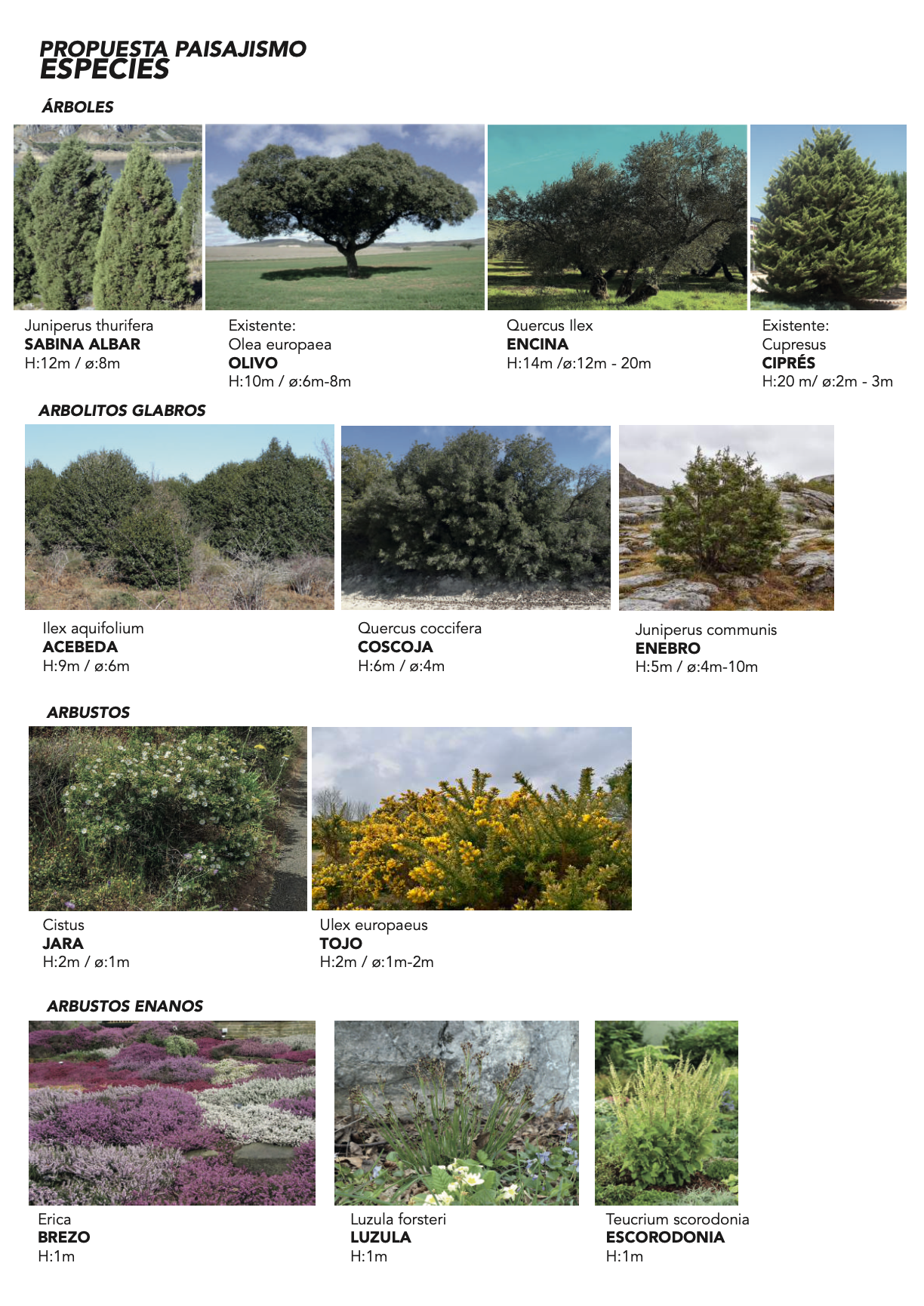 Diseño y asesoría propuesta paisajística: Proyecto Illana, Guadalajara