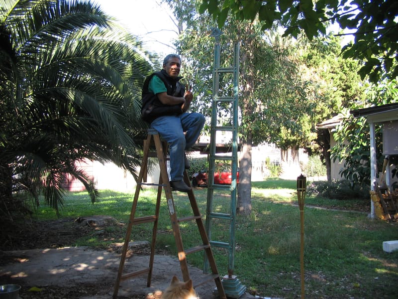 I Love The Environment