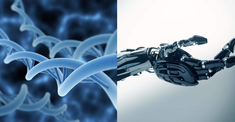 Topic 3: Biomedical Engineering