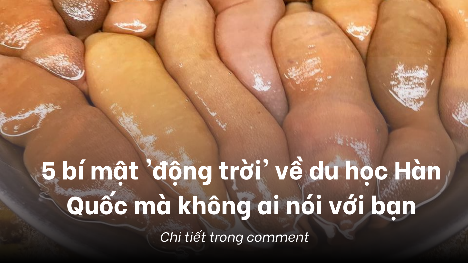 5 bí mật 'động trời' về du học Hàn Quốc mà không ai nói với bạn