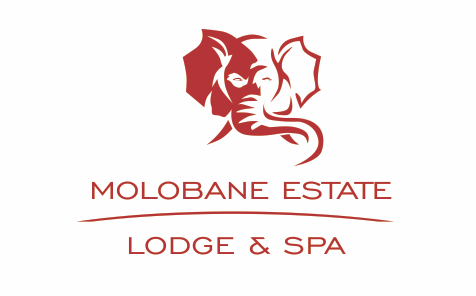 MOLOBANE TRAVEL & HOSPITALITY