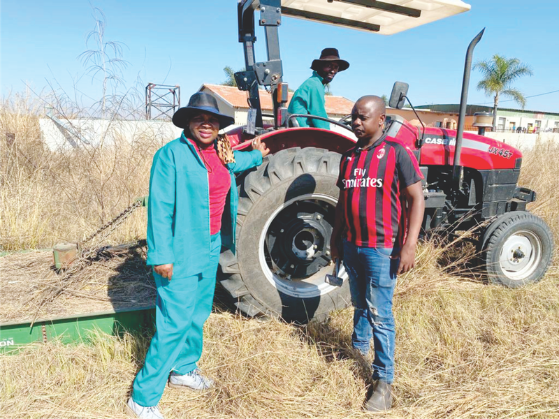 Sundowner Farming operation