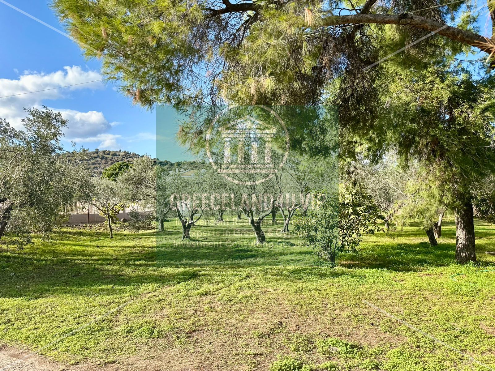  | **600m from the sea**