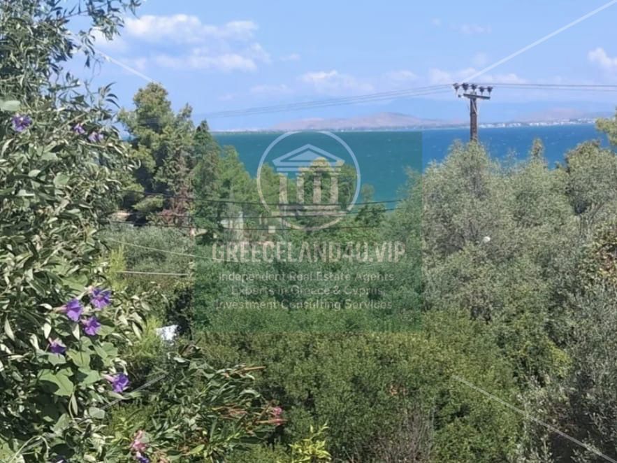 ✨ Private house with sea view