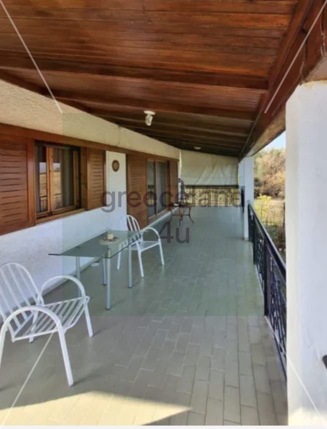 🌳 Plot Size: 550 sqm