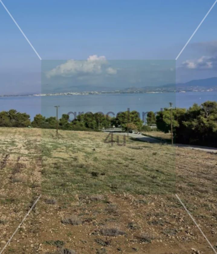 🌳 Plot Size: 550 sqm