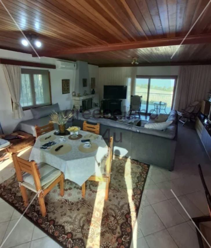 🌳 Plot Size: 550 sqm