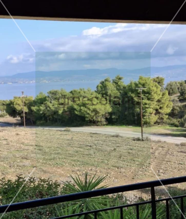 🌳 Plot Size: 550 sqm