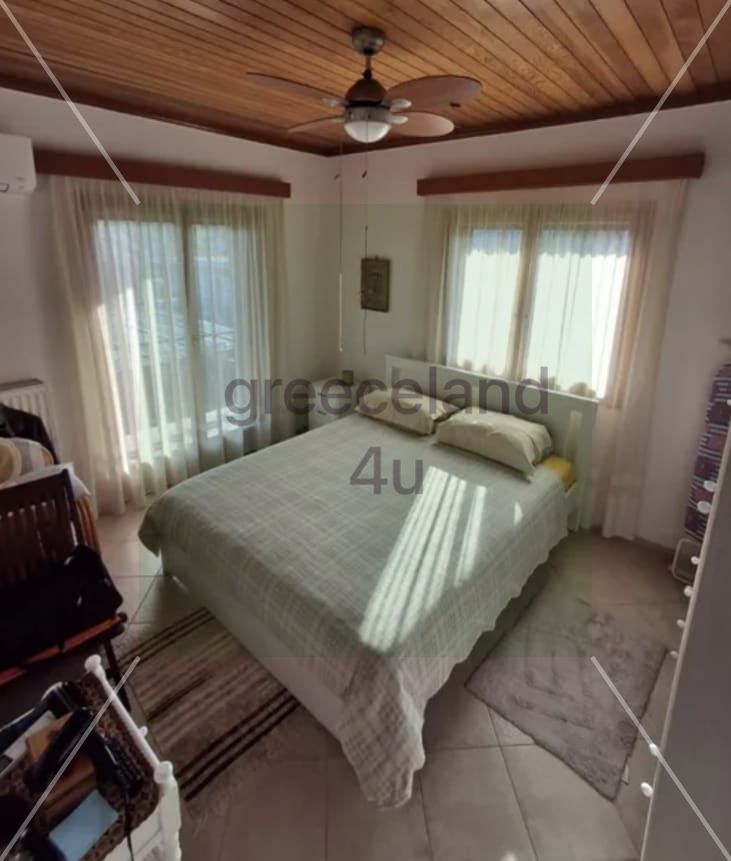 🌳 Plot Size: 550 sqm