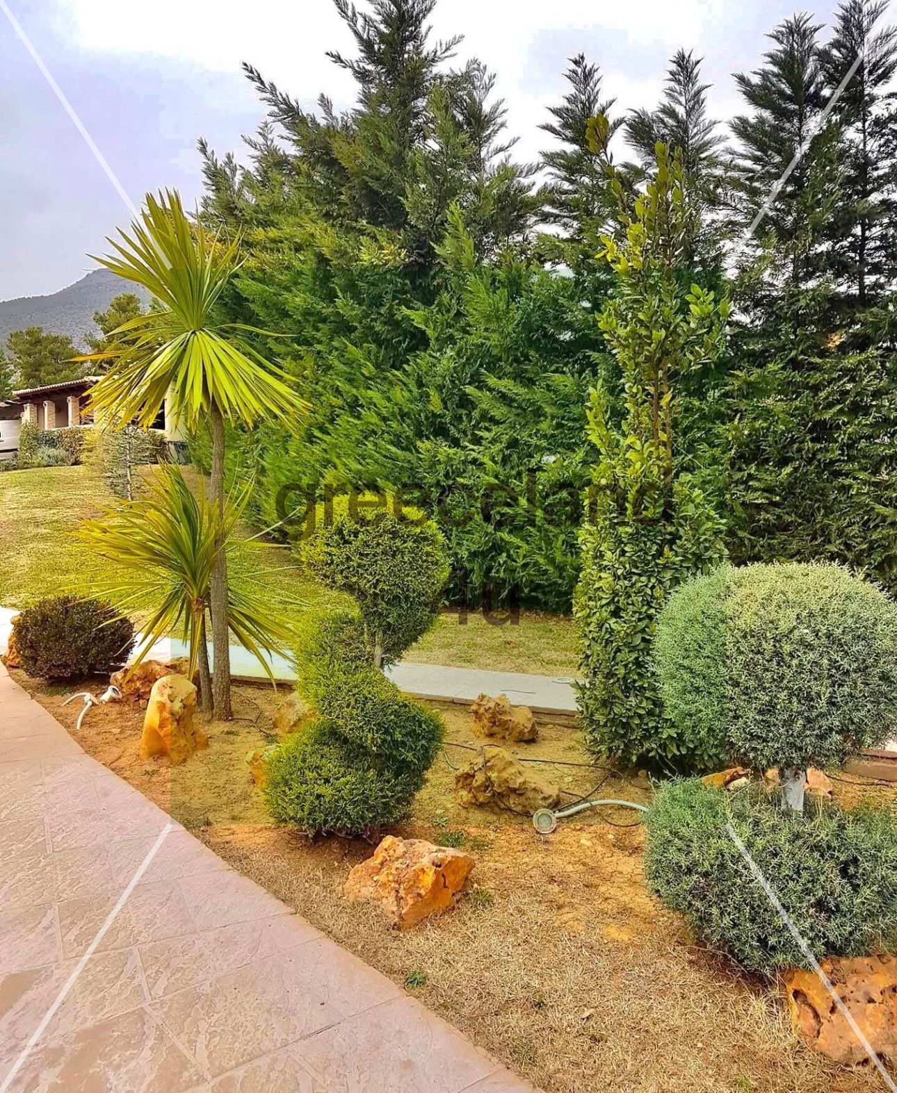 🏡 220 sq.m. built on a 2,000 sq.m. plot