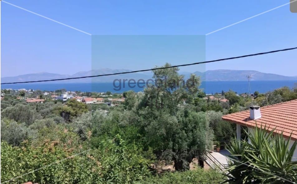 	•	🌳 Plot size: 380 sq.m