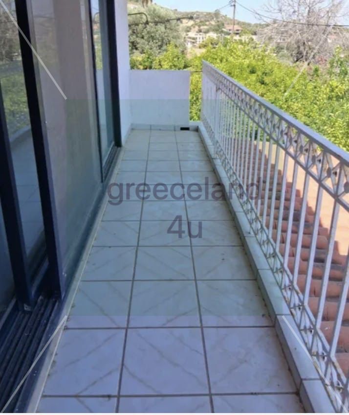 	•	🌳 Plot size: 380 sq.m