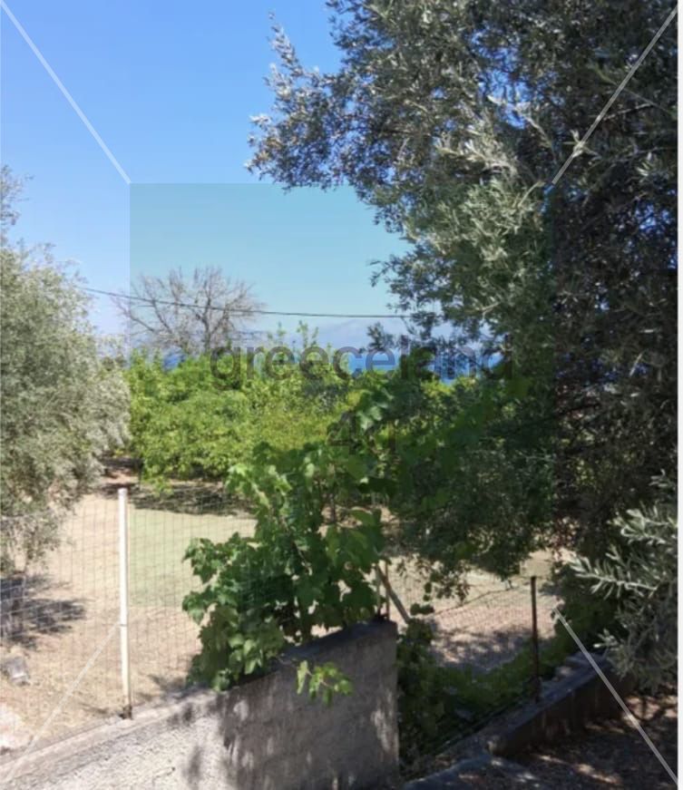 	•	🌳 Plot size: 380 sq.m