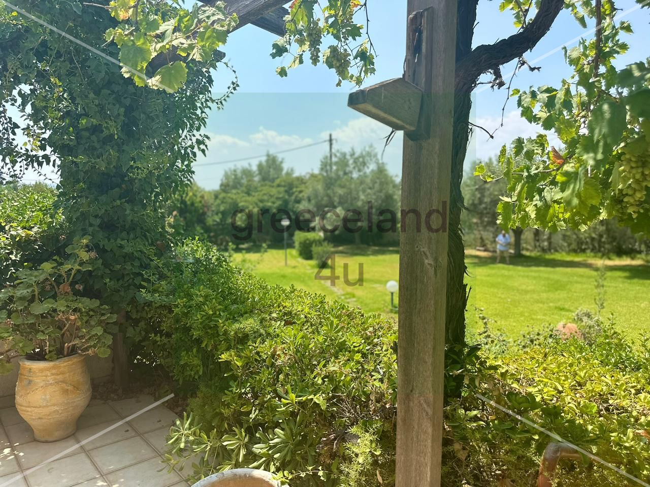 🏡 120 sq.m built on a 3,000 sq.m plot