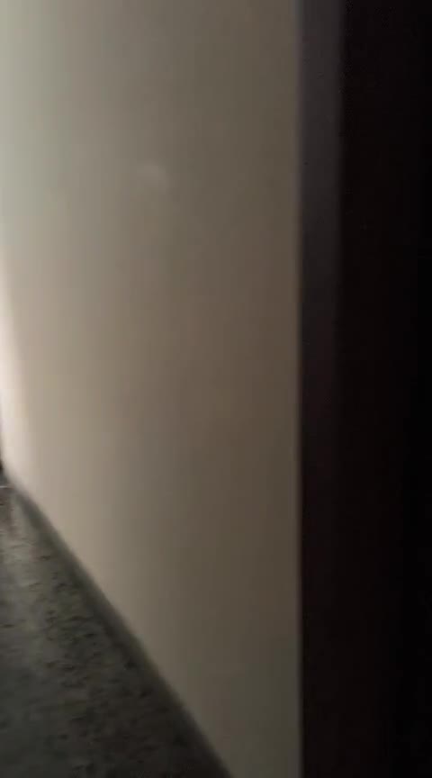 Bright and well-located apartment 