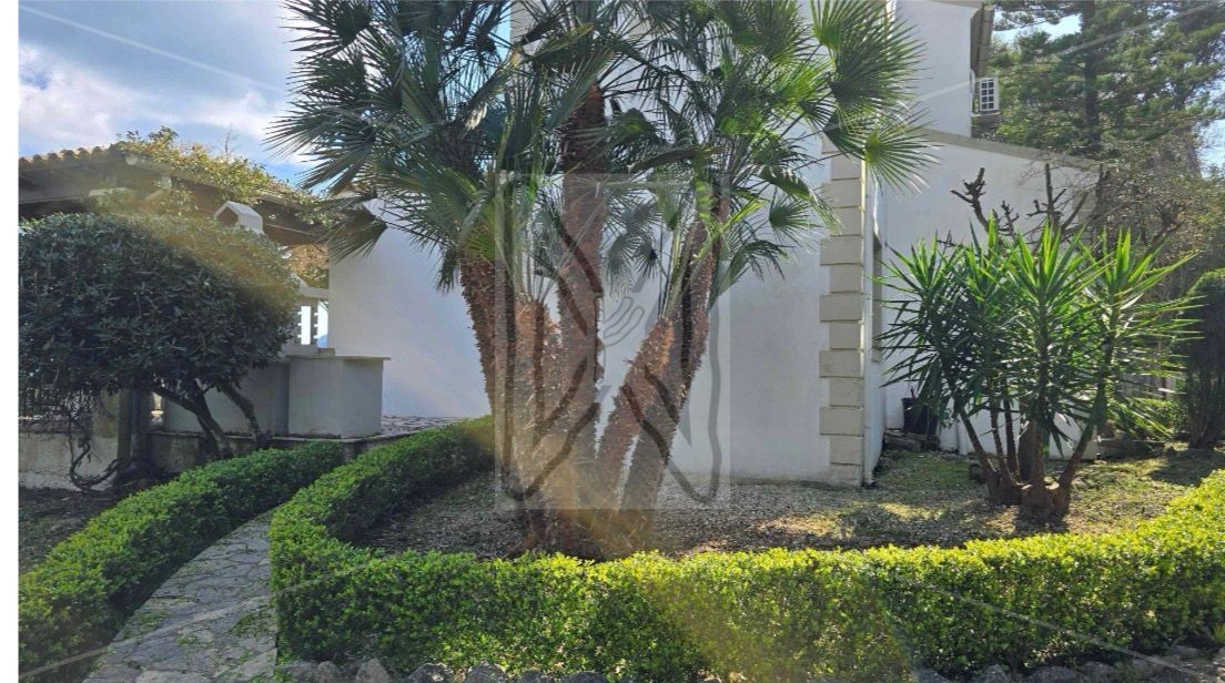 5,000 sqm plot, the