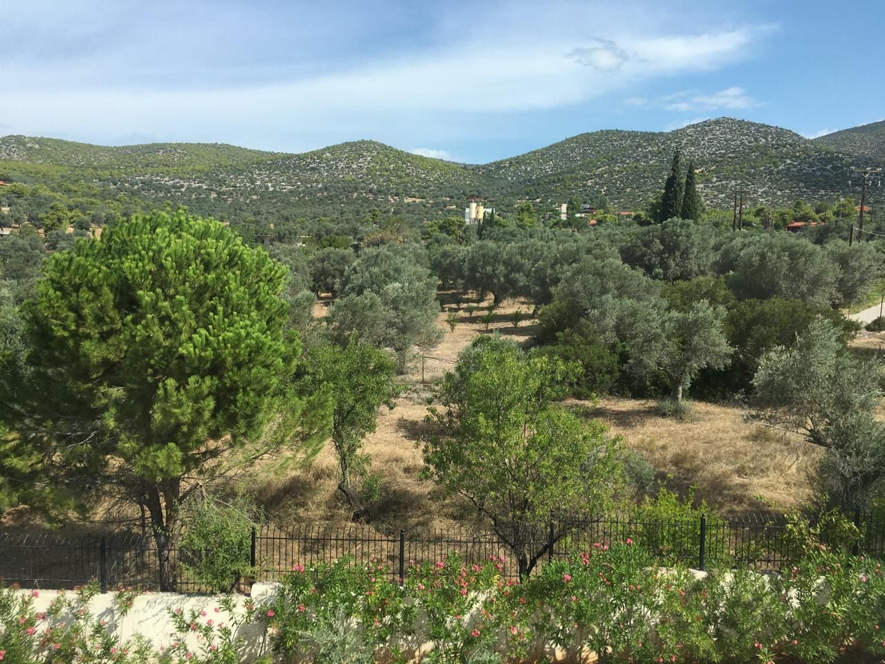 Land size: 4,000 sqm