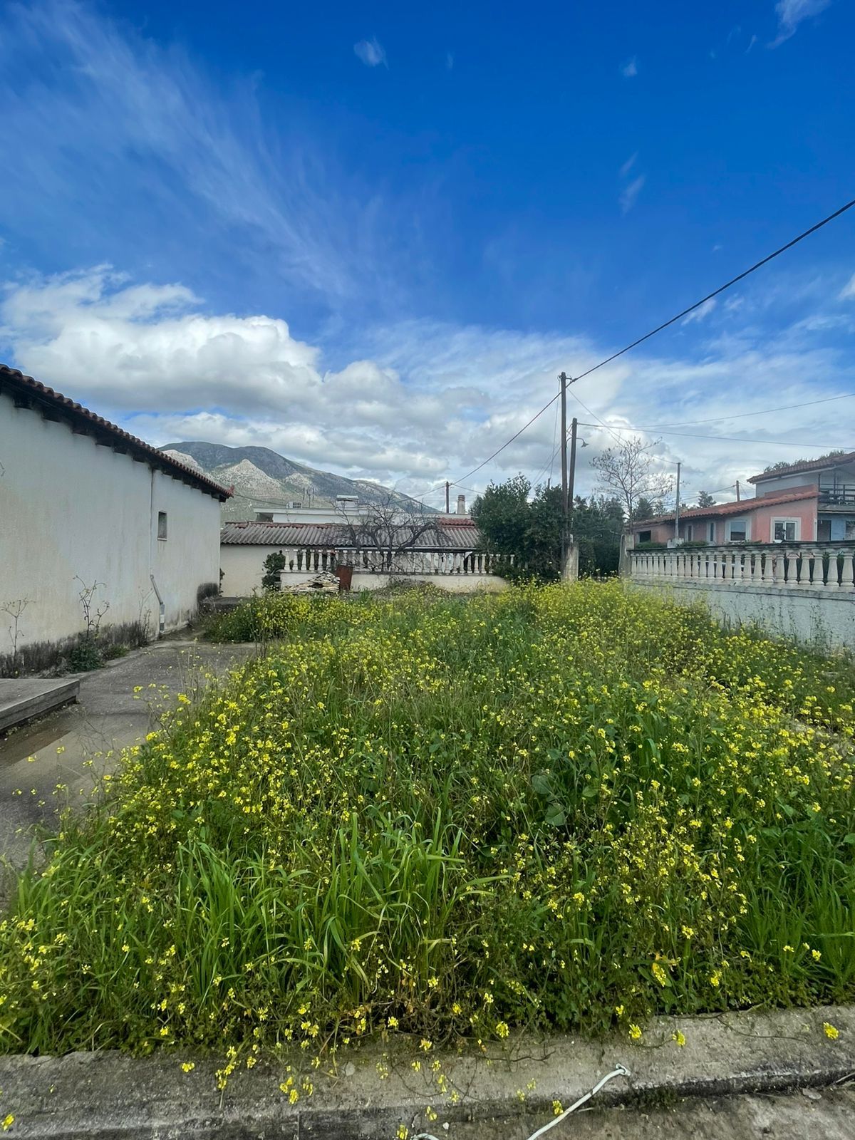 Detached House on an 800 sqm plot