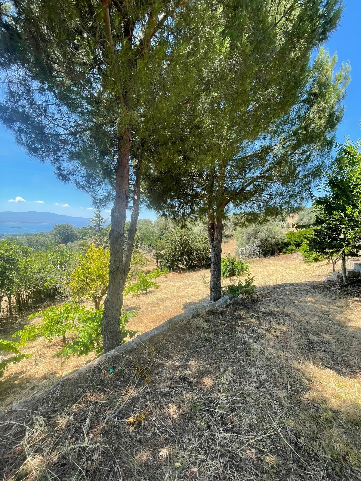 Peaceful Living on a Large Plot – Just 1.5 km from the Sea