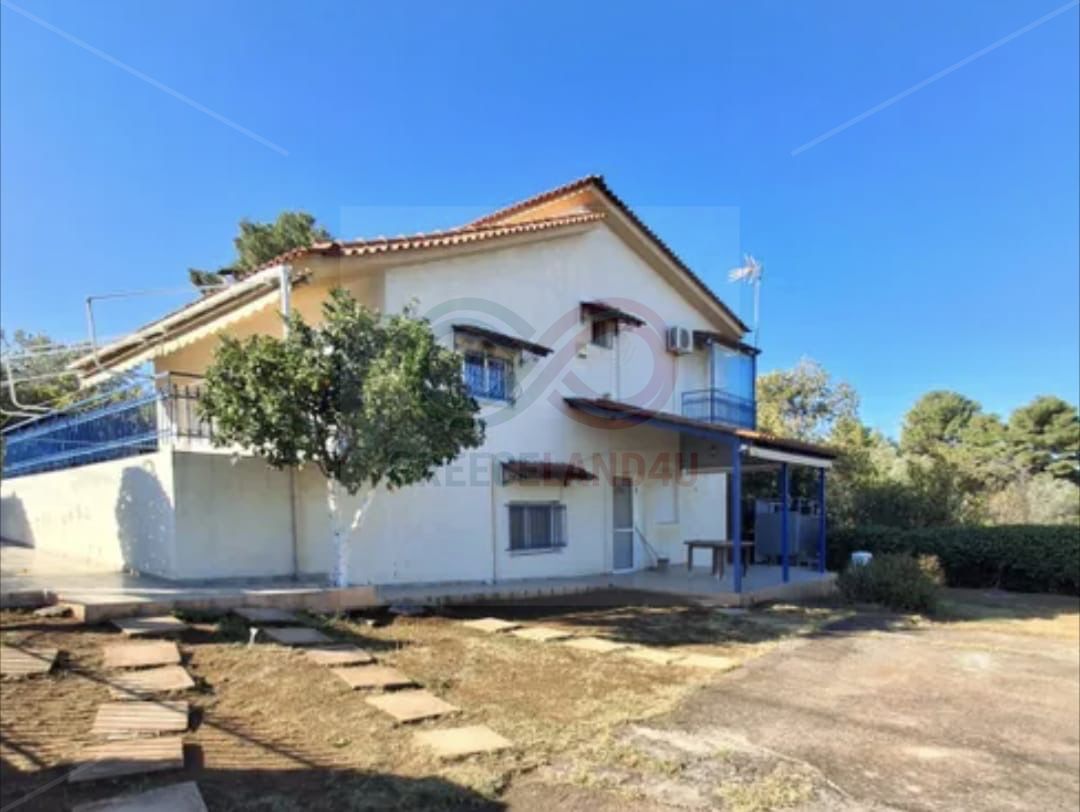 spacious duplex