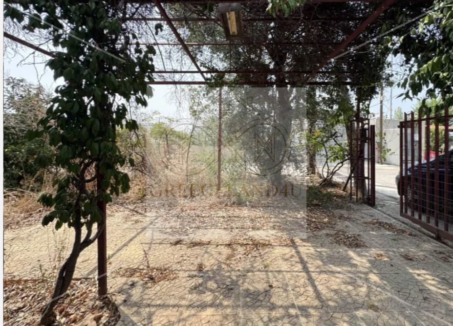 tapproximately 60 m²