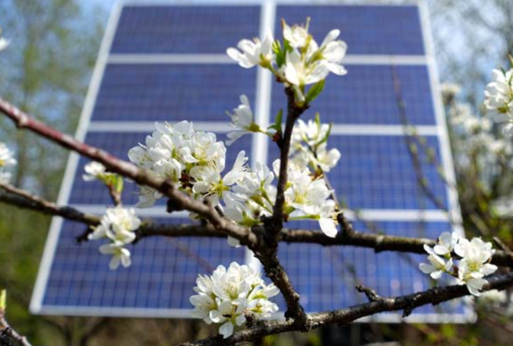 UNDERSTANDING VERMONT'S RENEWABLE ENERGY POLICIES, 2018