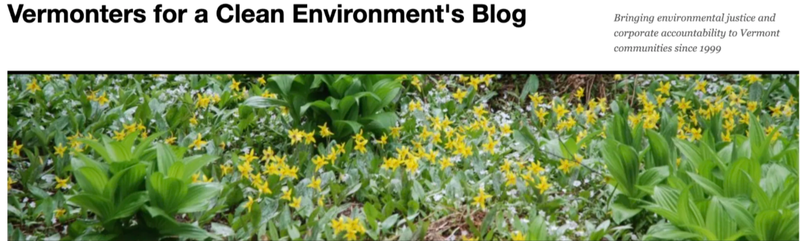 Vermonters for a Clean Environment's Archived Blog