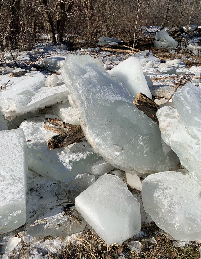 Citizen Participation and Aesthetics in PUC Cases