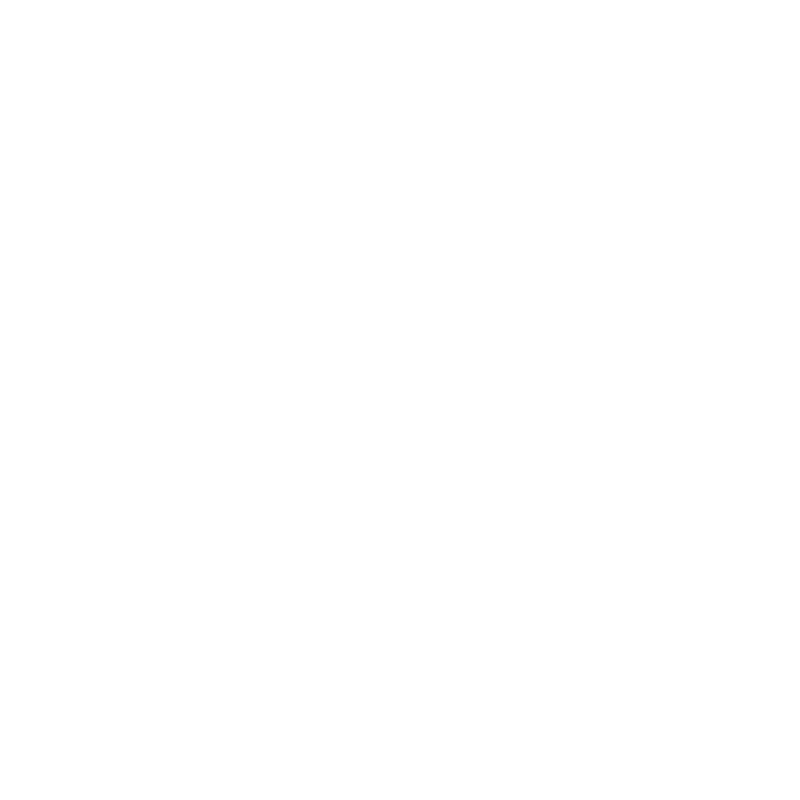 Sky Ranch Van Overnight Summer Camp