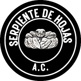Serpiente de hojas A.C.