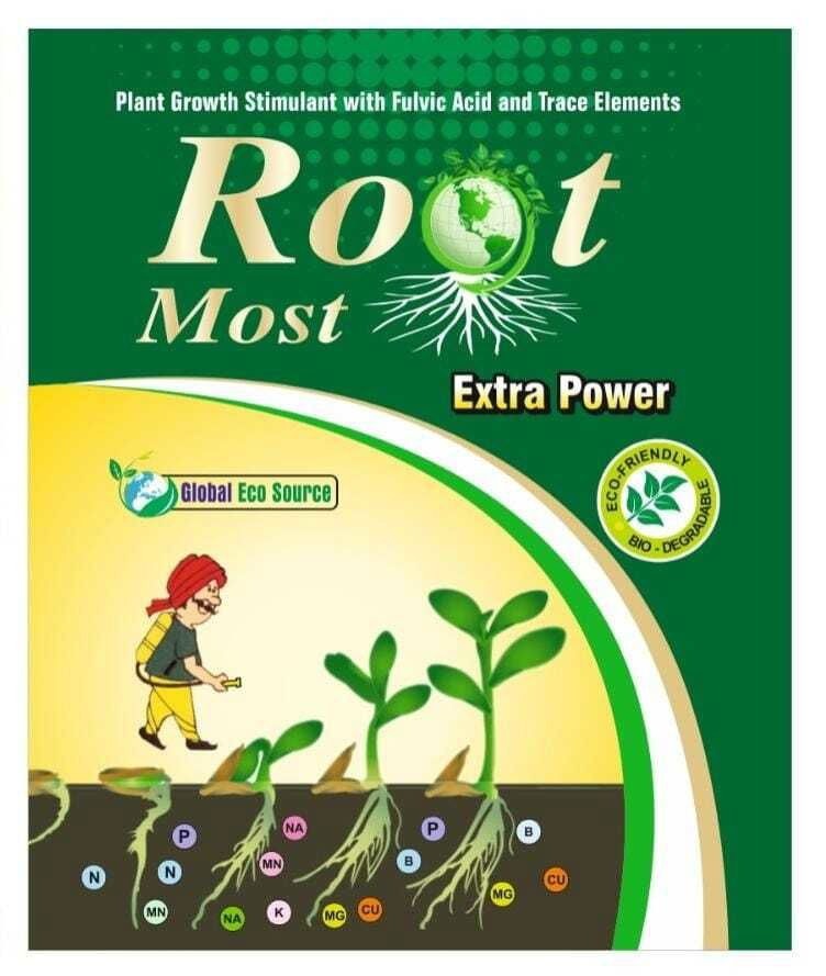 Root Most - BAGWANI