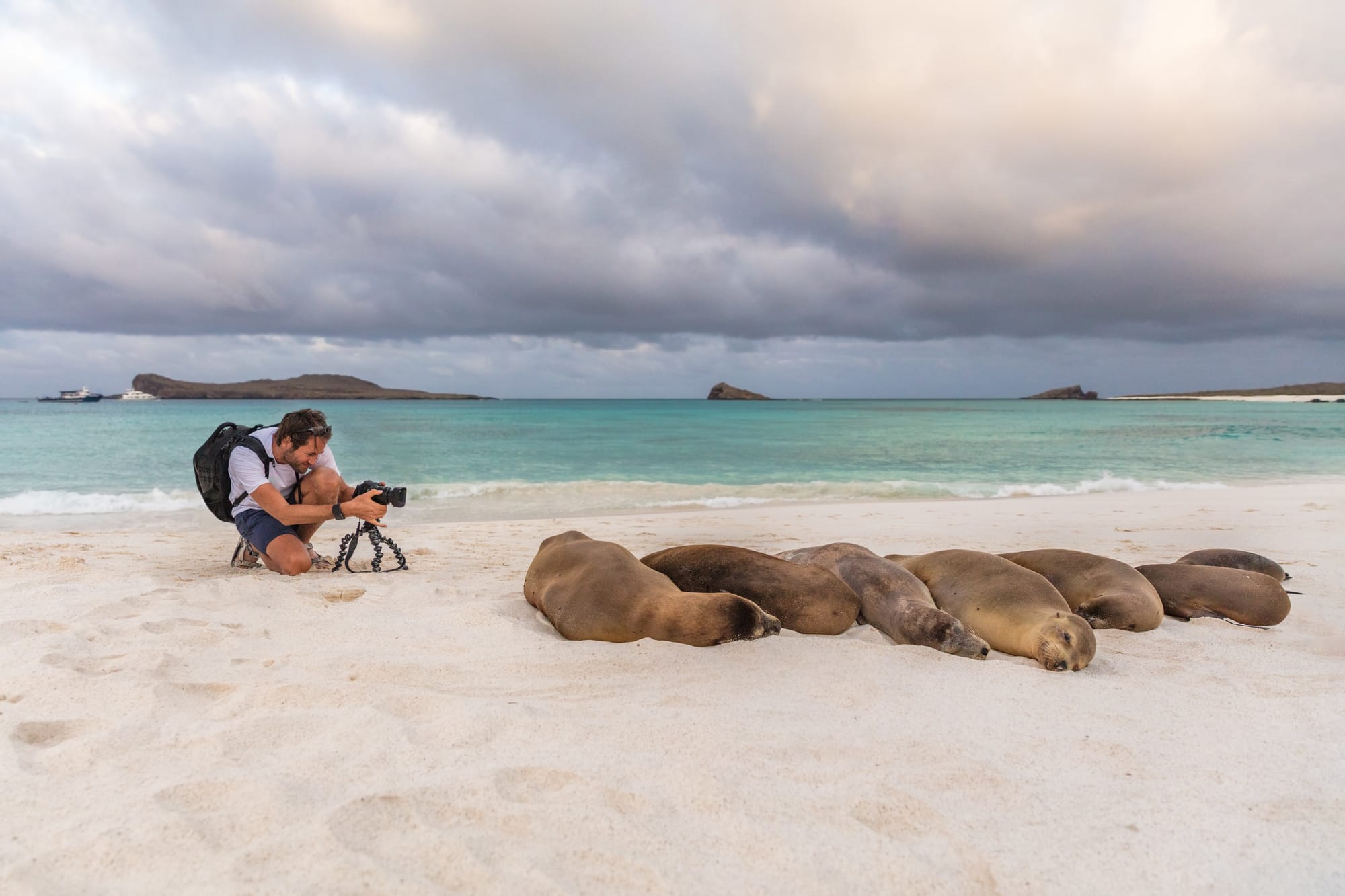 Galápagos