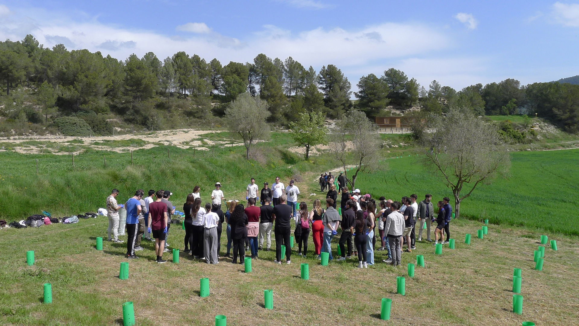 Team Building Reforestación