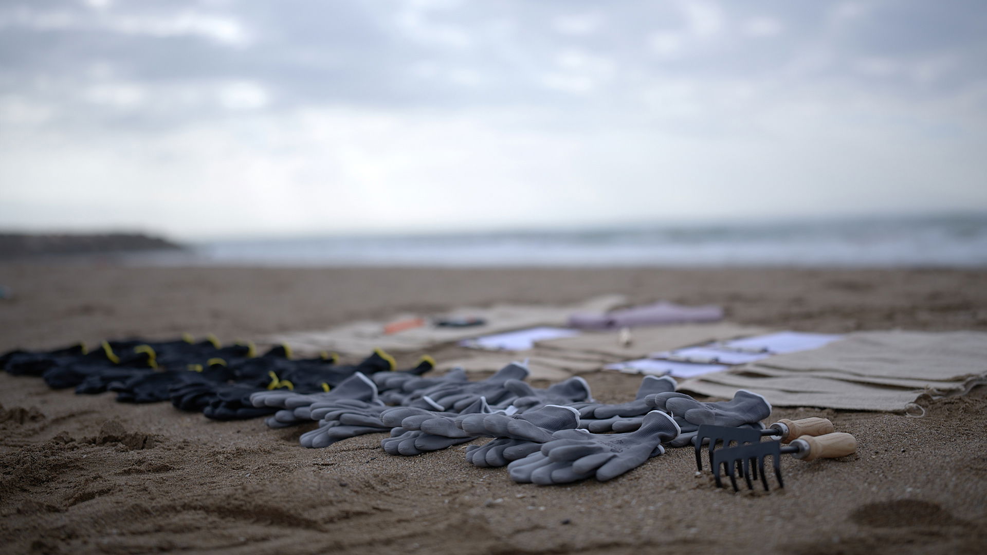 Team Building Limpieza de playa