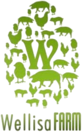 WELLISSA FARMS CORP.