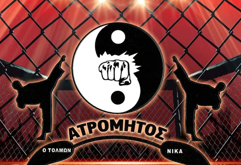 Μαχητικές Τέχνες