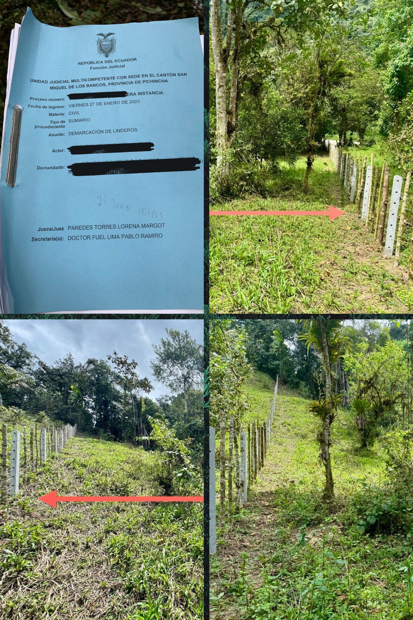 Demarcación de Linderos