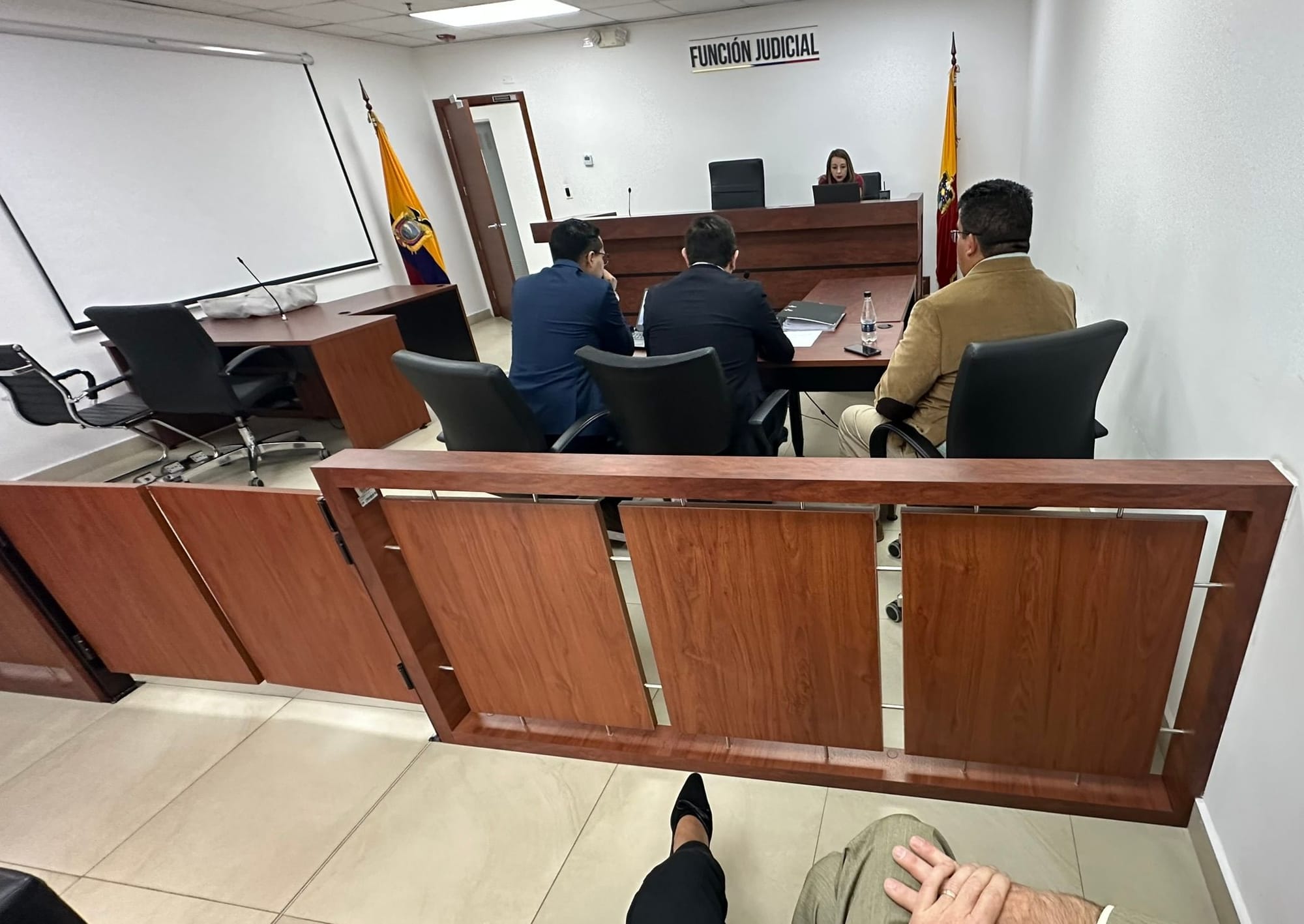 Representación en Juicios