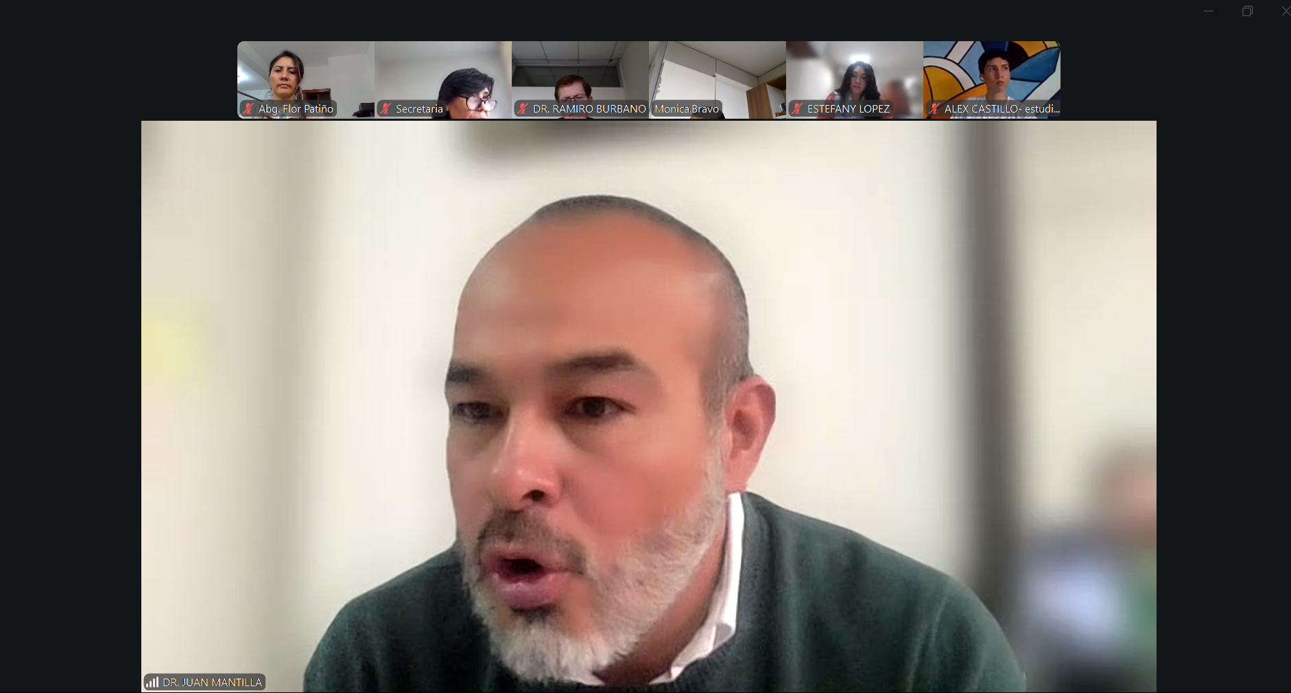 Audiencia Telemática