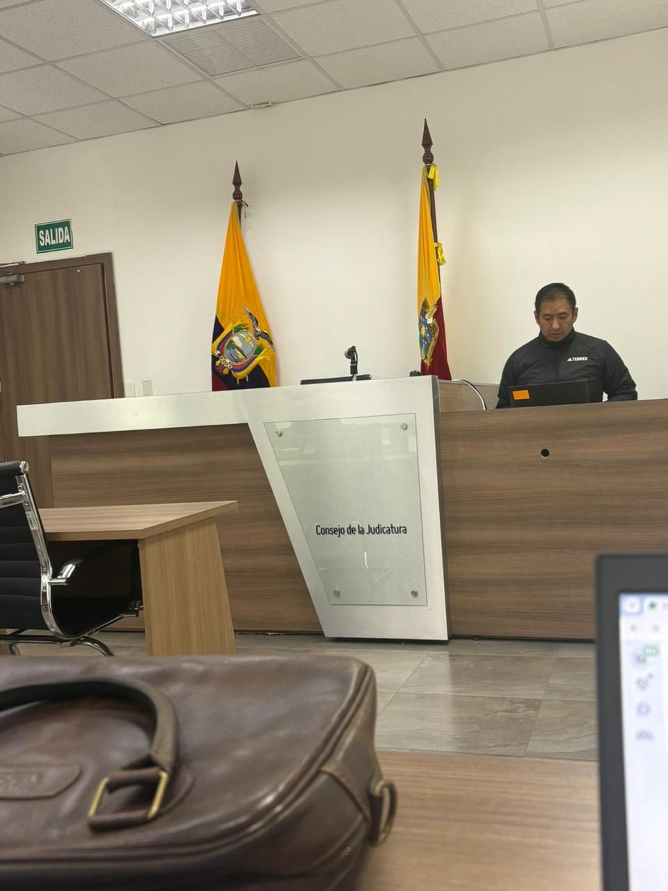 Representación en Juicios