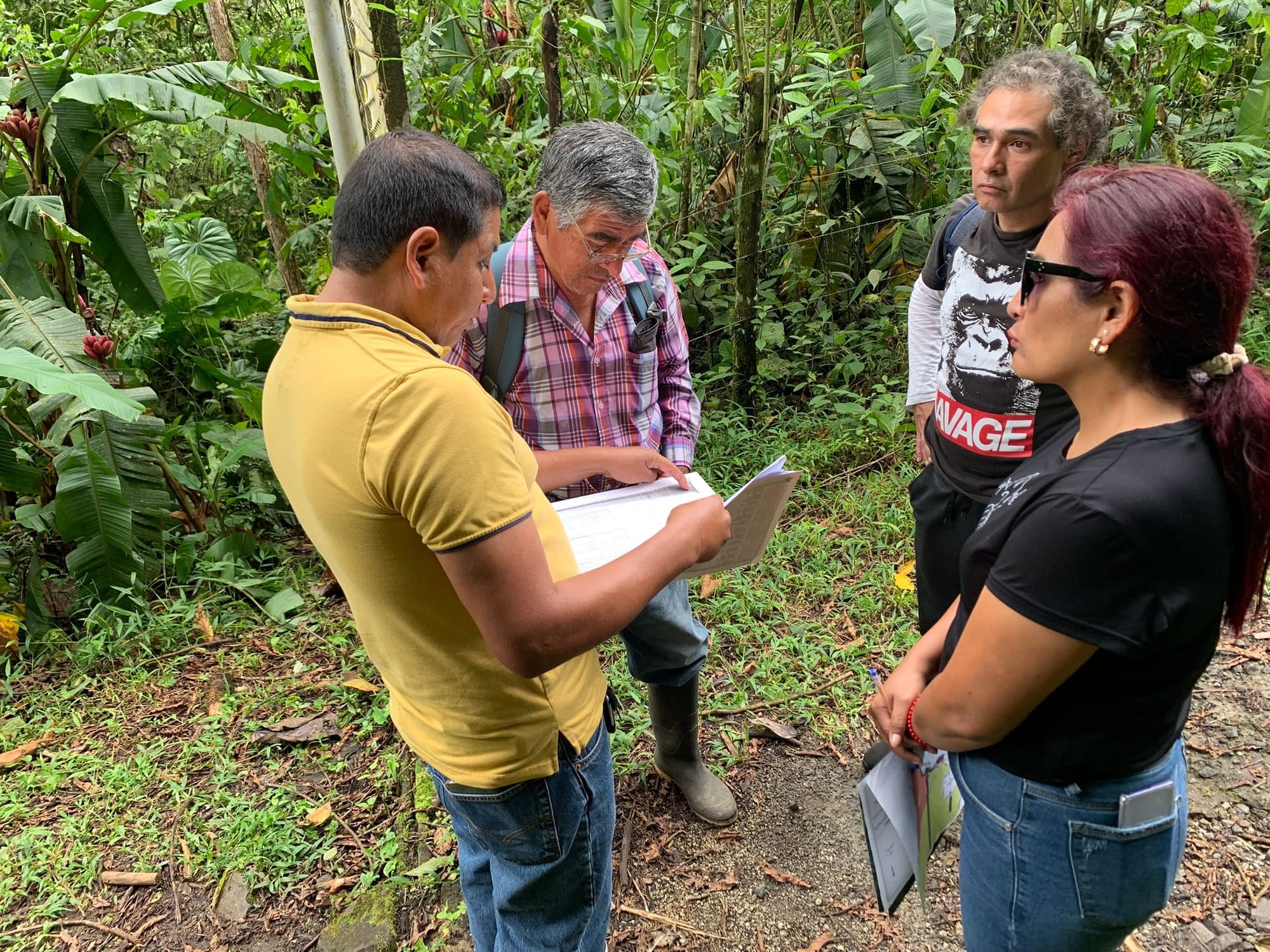 Demarcación de Linderos