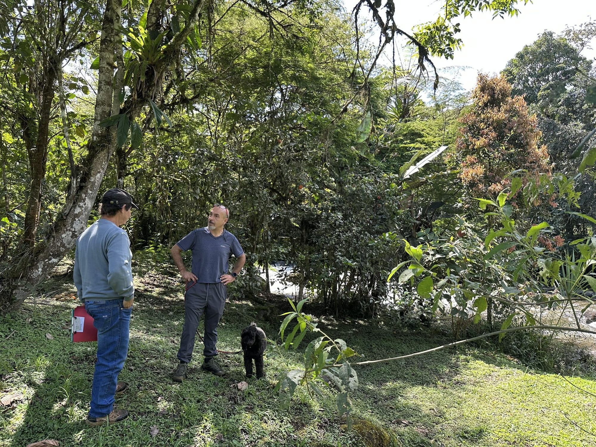 Demarcación de Linderos
