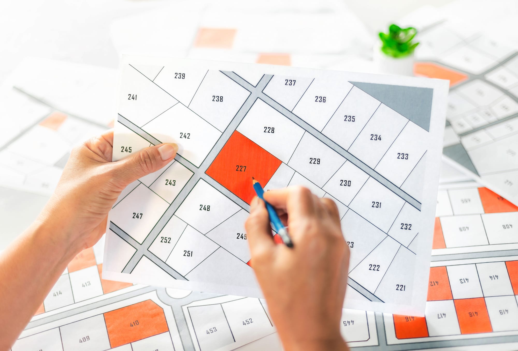 Gestión inmobiliaria