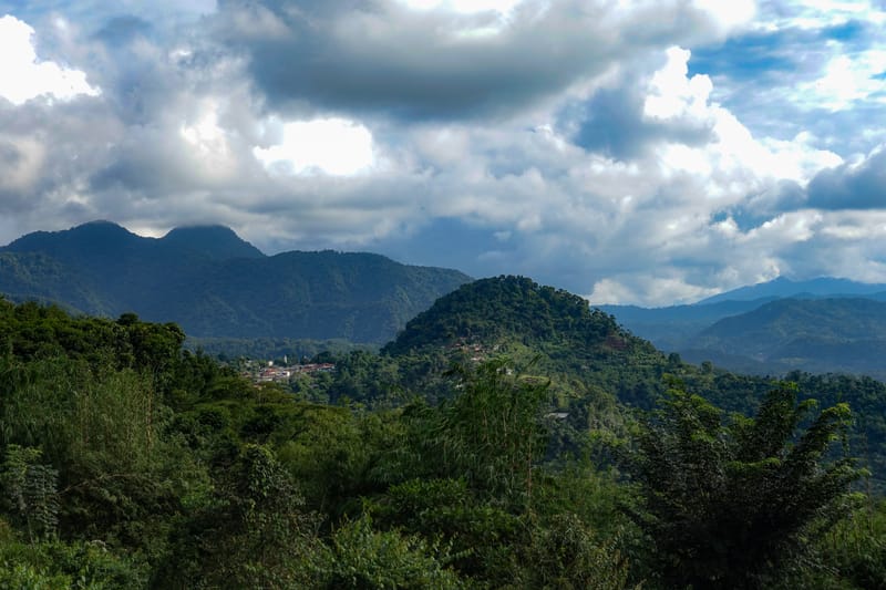🌿 Áreas Verdes, Comunales y de Amortiguamiento en Mindo: Valor Legal y Responsabilidad Comunitaria