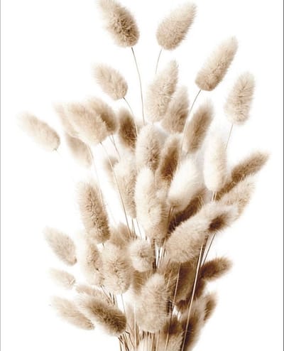 Introducing this tour's guide Part 2