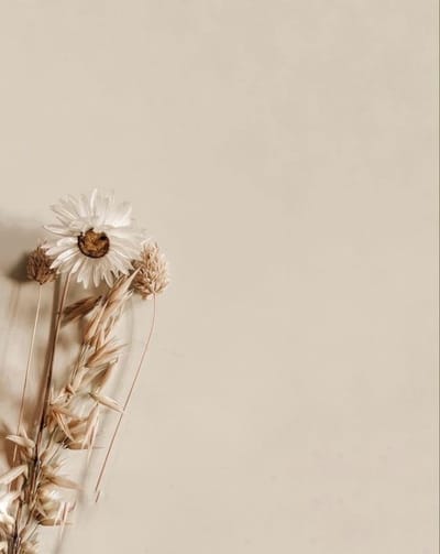 Getting familiar with the “do´s and dont´s” - 1 ...