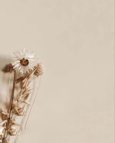 Getting familiar with the “do´s and dont´s” - 4 ...